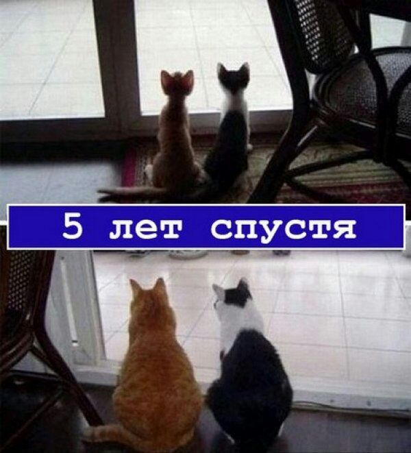 5 лет спустя_ _
