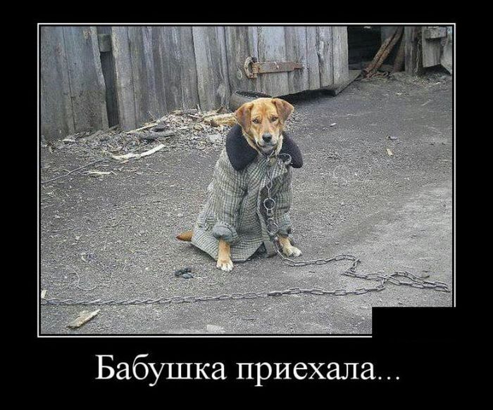 Бабушка приехала
