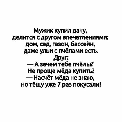 Мужик купил дачу делится с другом впечатлениями дом сад газон бассейн ддже ульи с пчёлами есть друг А зачем тебе пчёлы Не проще мёд купить Насчёт мёда не знаю но тёщууже 7 раз покусали