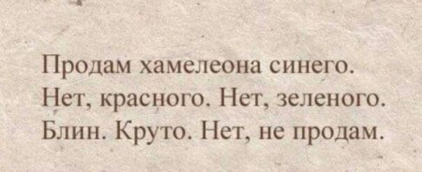 Продам хамелеона синего Нет красного Нет зеленого Блин Круто Нет не продам