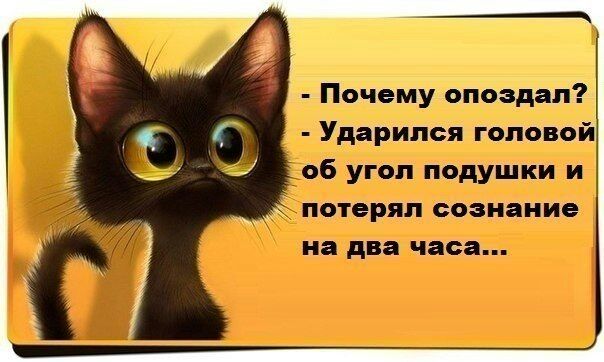 визга 37 Ш51ЮЁТ