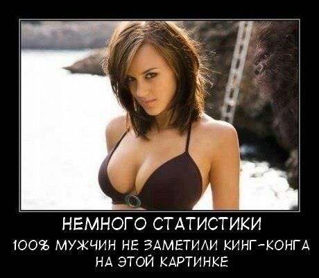 АБТ НЕМНОГЬ СТАТИСТИКИ 100 МУЖЧИН НЕ ЗАМЕТИАИ КИНГКОНГА НА ЭТОЙ КАРТИНКЕ
