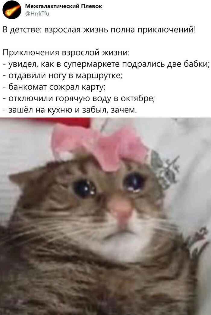 Межгалактический Плевок НггкТШ В детстве взрослая жизнь полна приключений Приключения взрослой жизни увидел как в супермаркете подрались две бабки отдавили ногу в маршрутке банкомат сожрал карту отключили горячую воду в октябре зашёл на кухню и забыл зачем