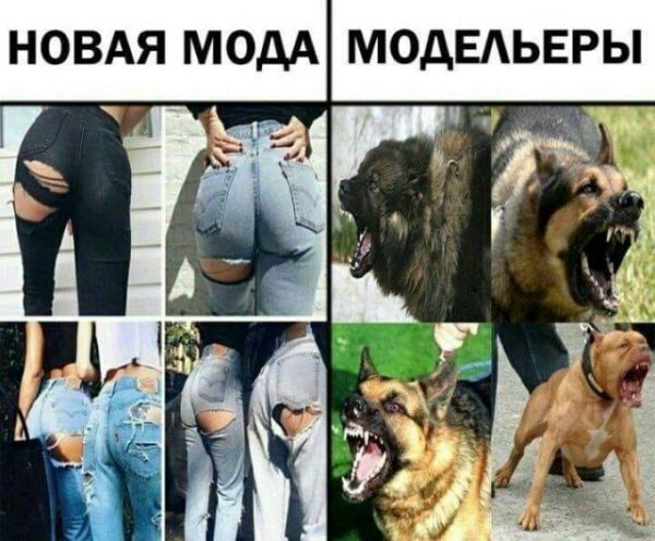 НОВАЯ МОДА МОДЕАЬЕРЫ Р 7 ЁЁ