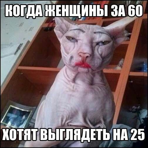 ЖЕНЩИНЫ ЗА 60