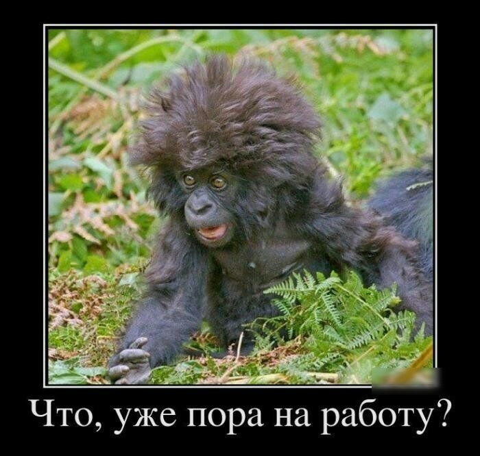 Что уже пора на работу