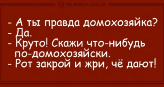 А ть правда домохозяйка а Брута Скажиччтонибудь по домох9зяиски __ Рот закрои и жри че дают