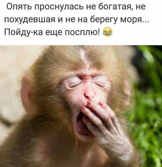 Опять проснулась не богатая не похудевшая и не на берегу моря Пойдука еще посплю