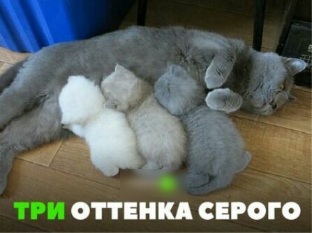 ТРИ ОТТЕНКА СЕРОГО