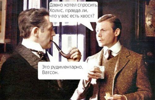 Ци