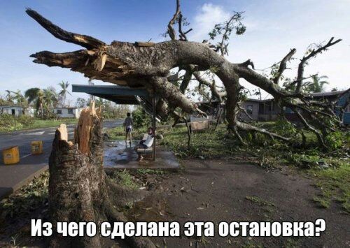 Из чвюсдвпаіш эта остановки