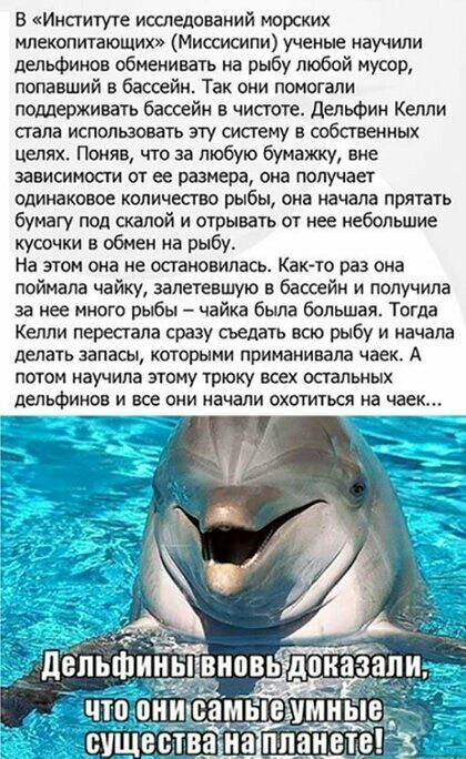 В Институте исследований морских млекопитающих Миссисипи ученые научили дельфинов обменивать на рыбу любой мусор попавший в бассейн Так они помогали поддерживать бассейн в чистоте дельфин Келли стала использовать эгту систему в собственных пет ях Поняв что за любую бумажку вне зависимости от ее размера она получает одинаковое количество рыбы она начала прятать бумагу под скалой и отрывать от нее н