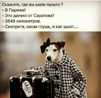Скажите где вы шипи пальто В Париже Это далеко от Сараюва 3648 километров Смотрите какая глушь и как шьют