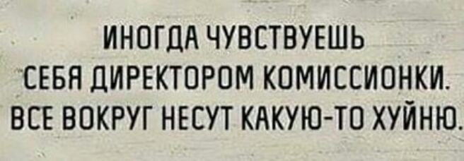 ИНОГДА ЧУВСТВУЕШЬ СЕБЯ ДИРЕКТОРПМ КОМИССИОНКИ ВСЕ ВОКРУГ НЕСУТ КАКУЮ ТО ХУЙНЮ