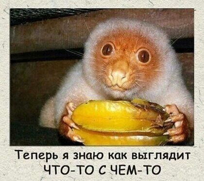 Теперь я знаю какйвыглядит ЧТОТО С ЧЕМ ТО