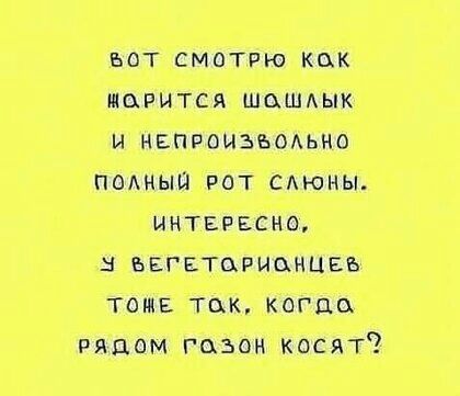 С вы тт ст пид