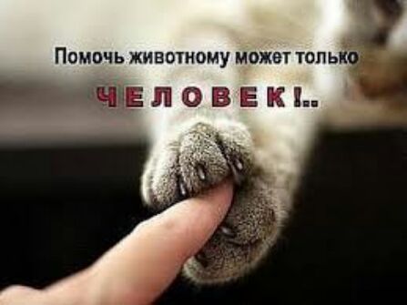 с