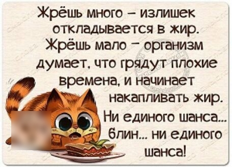 Жрёшь много излишек откладывается в жир Жрёшь мало _ организм думает что грядут плохие времена и начинает 47 А накапливать жир Ни единого шанса блин ни единого шанса