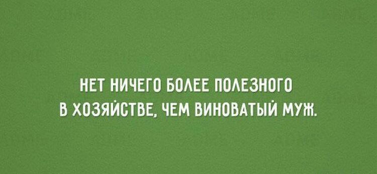 НЕТ НИЧЕГО БОАЕЕ ПОАЕЗНОГО В ХОЗЯЙСТВЕ ЧЕМ БИНОБАТЫЙ МУШ