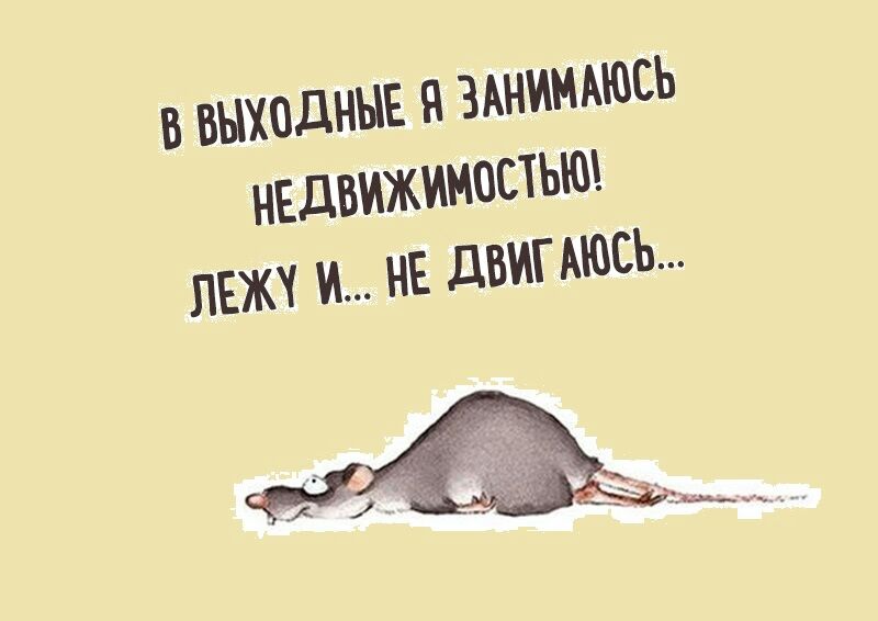 В ВЫХОДНЫЕ ЗАНИМАЮСЬ