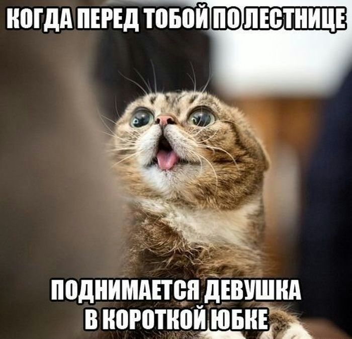 поднимдітсцдъвщнд в ногптиощднв _