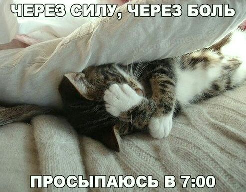 ПП д БШЬ