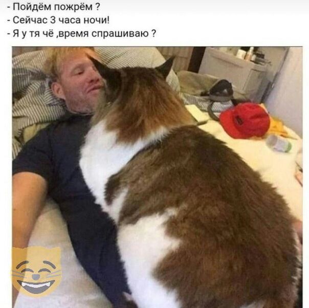ойдем пожрем Сейчас 3 часа ночи Я у тя че время спрашиваю