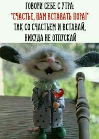 ПЛЮЩ СЕБЕ Е ПШ шшъг нян шамп пот так со титьки и вставяй нипщн опиши