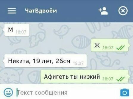 Е ЧатВдввём Никита 19 лет 26 іигетьтынизкий Текст Сообщения