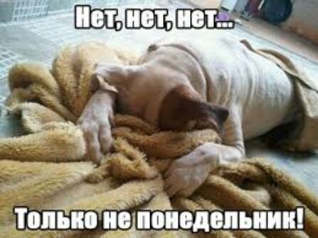 0 41 _ 4 _Ь _і93_дьии