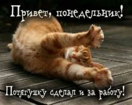 Прист понедельник пі а а от уникум иза