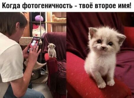 Когда фотогеничность твоё второе имя