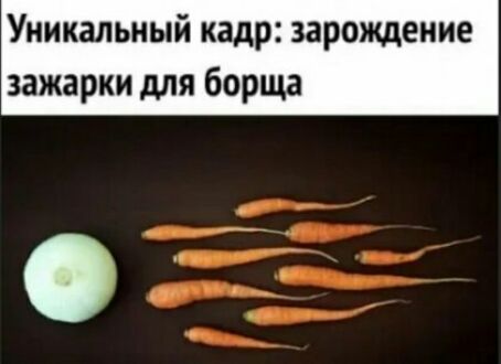 Уникальный кадр зарождение зажарки для борща