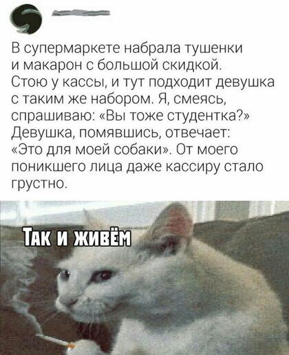 О В супермаркете набрала тушенки и макарон с большой скидкой Стою у кассы и тут подходит девушка с таким же набором Я смеясь спрашиваю Вы тоже студентка Девушка помявшись отвечает Это для моей собаки От моего поникшего лица даже кассиру стало грустно Тик и жинмг Г