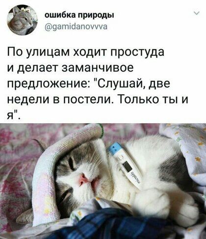 ошибка природы атібапоущв По улицам ходит простуда и делает заманчивое предложение Слушай две недели в постели Только ты и