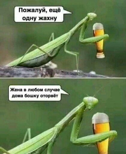 Пожалуй ещё одну жахиу