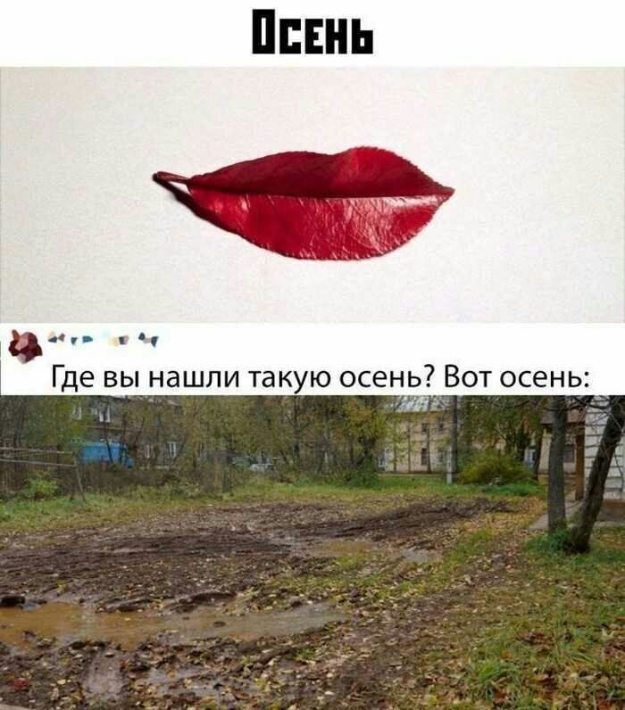 п ду Где вы нашли такую ОСЕНЬ ВОТ ОСЕНЬ