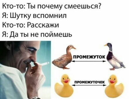 Кто то Ты почему смеешься Я Шутку вспомнил Кто то Расскажи Я Да ты не поймешь