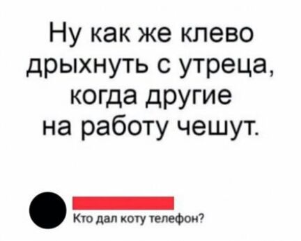 Ну как же клево дрыхнуть с утреца когда другие на работу чешут Кю ды коту телефон