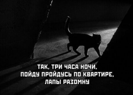 тик тии чпвп нпчи ппйпн пппйпнсь пп квиптипЕ ляпы рязпиин