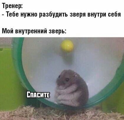 Тренер Тебе нужнп разбудить зверя внутри себя Мой внутренний зверь Еписитг