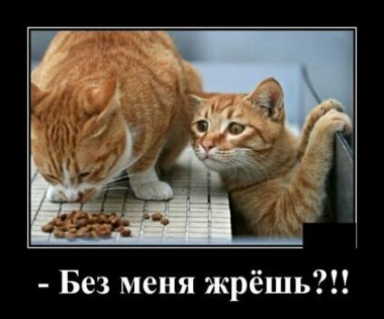 Ь Без меня жрёш