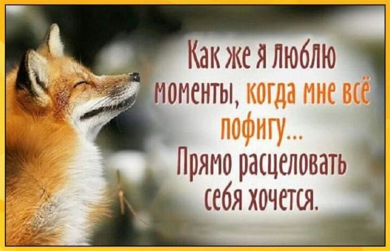 _ Какжеялюблю 0иенты И Пряпоращеловать ебяхочется