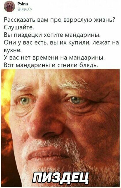 Рзіпа Рассказать вам ПРО БЗРОСЛУЮ ЖИЗНЬ Слушайте Вы пиздецки хотите мандарины Они у вас есть вы их купили лежат на кухне У ВЭС НЕТ ВРЕМЕНИ на мандарины Вот мандарины и сгнили блядь