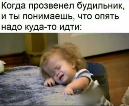 Когда прозвенел будильник и ты понимаешь что опять надо куда то идти