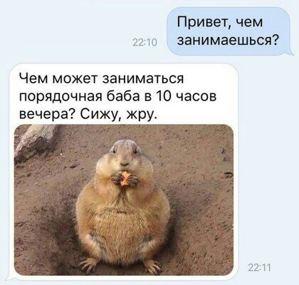 Привет чем 2210 занимаешься Чем может заниматься порядочная баба в 10 часов вечера Сижу жру 2211