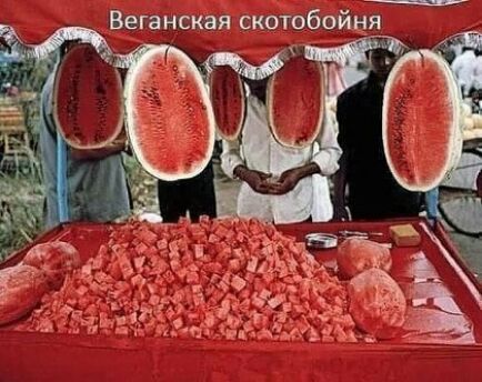 т в нид гауы