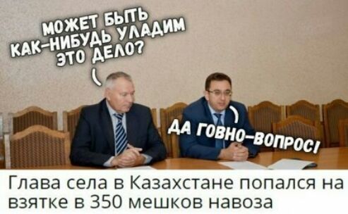 Глава села в Казахстане попался на взятке в 350 мешков навоза