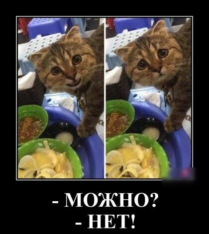 МОЖНО НЕТ