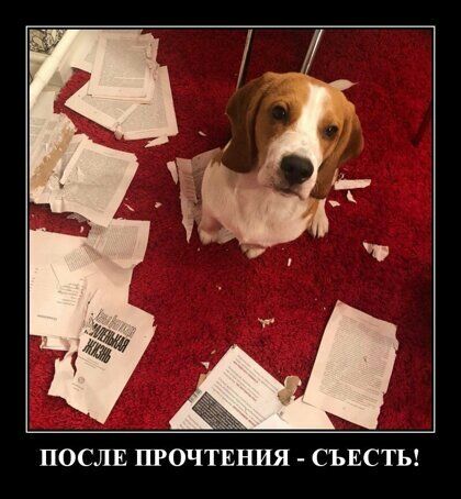 ПОСЛЕ ПРОЧТЕНИЯ СЪЕСТЬ